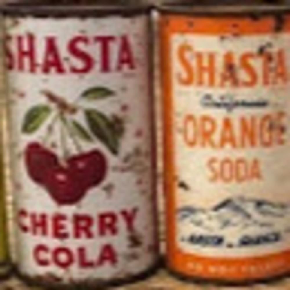 Meet your Posher, Shasta
